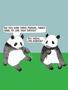 Panda Philosofy