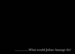 what would Julian Assange do