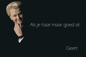 Wilders haar