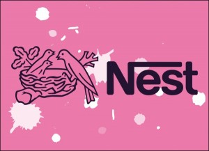 Nest (kleur)
