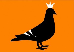 Queen’s Day Pigeon