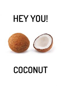 hey you! Coconut (spa coconut)