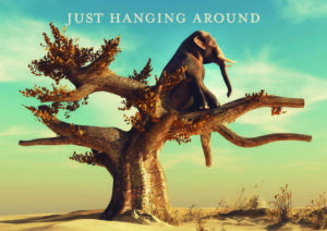 Just Hanging Around (Ki-Mono)