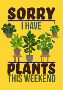 Plants this weekend?