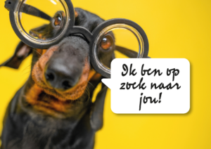 NDZ